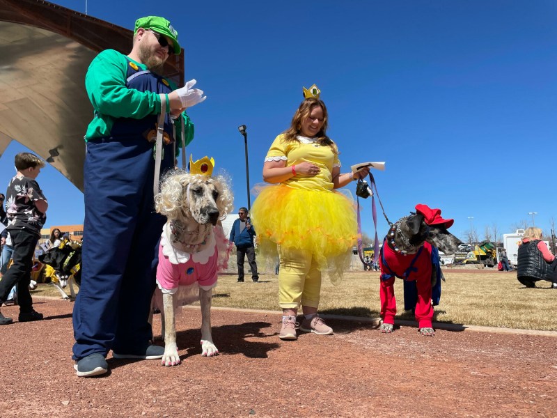 Image of dogs dressed up in adorable Halloween costumes for a Haunted Canine Karnival. They're ready for some spooky fun!
